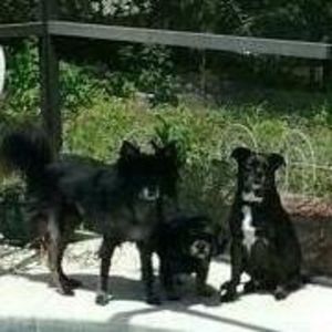 Meet your Posher, Bill